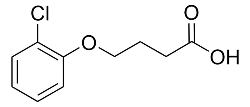Sigma-Aldrich 4-(2-Chlorophenoxy)butanoic acid,AldrichCPR
