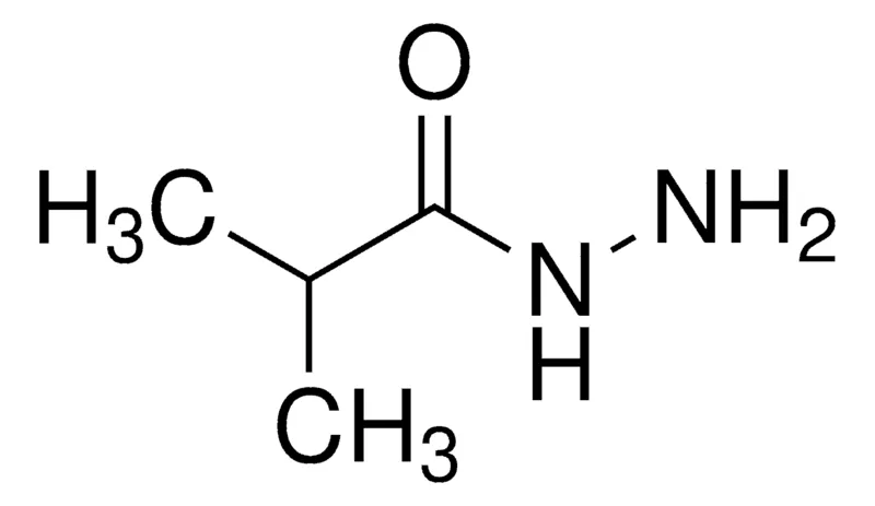 Sigma-Aldrich isobutyric acid hydrazide,AldrichCPR