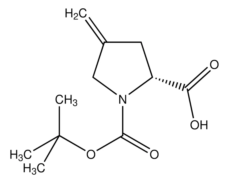 Sigma-Aldrich N-t-BOC-4-methylene-D-proline,AldrichCPR