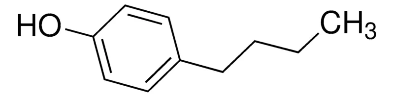 Sigma-Aldrich 4-丁基苯酚,AldrichCPR