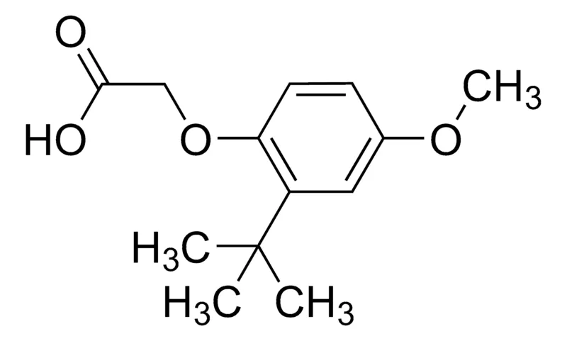Sigma-Aldrich (2-tert-Butyl-4-methoxyphenoxy)acetic acid,AldrichCPR