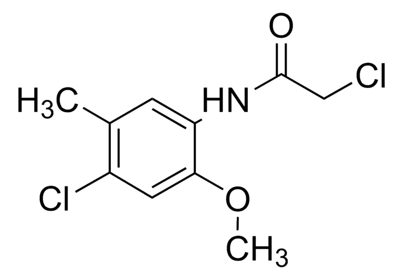 Sigma-Aldrich 2-Chloro-N-(4-chloro-2-methoxy-5-methylphenyl)acetamide,AldrichCPR