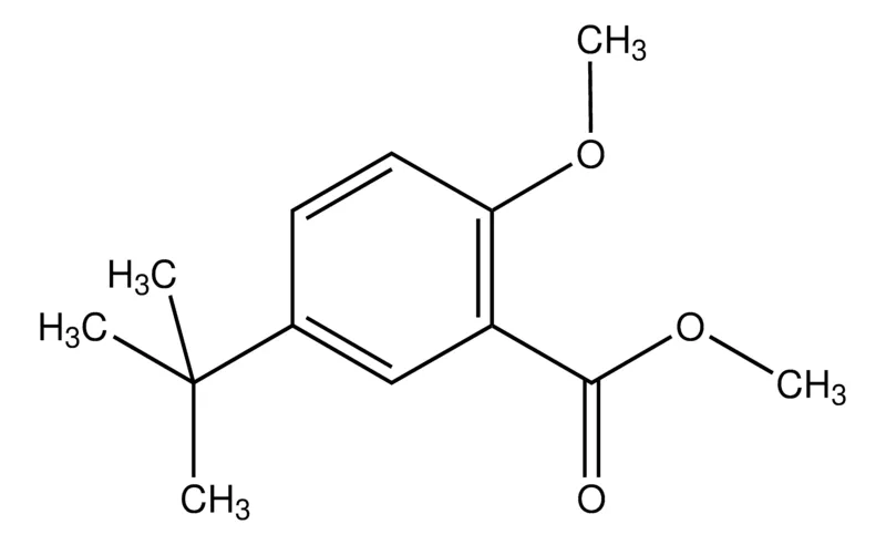 Sigma-Aldrich Methyl 5-tert-butyl-2-methoxybenzoate，AldrichCPR