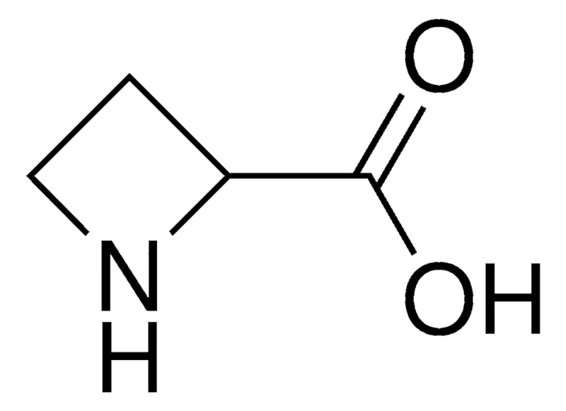 Sigma-Aldrich azetidine-2-carboxylic acid,AldrichCPR