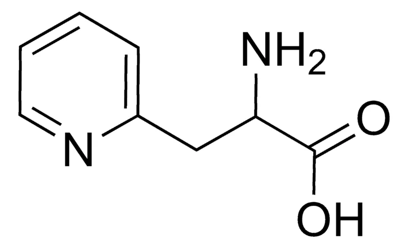 Sigma-Aldrich 2-Amino-3-(pyridin-2-yl)propionic acid,AldrichCPR