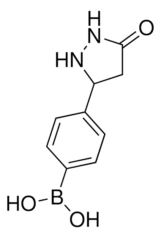 Sigma-Aldrich 4-(5-oxopyrazolidin-3-yl)phenylboronic acid,AldrichCPR