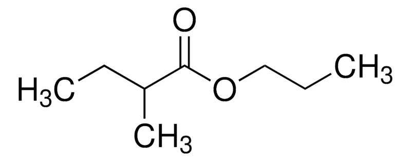 Sigma-Aldrich Propyl 2-methylbutanoate,AldrichCPR