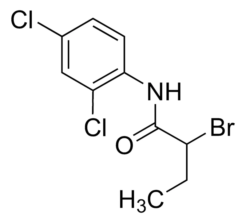 Sigma-Aldrich 2-Bromo-N-(2,4-dichlorophenyl)butanamide,AldrichCPR