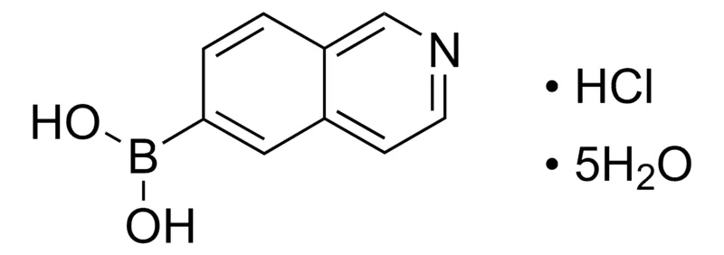 Sigma-Aldrich Isoquinolin-6-ylboronic acid hydrochloride pentahydrate,AldrichCPR