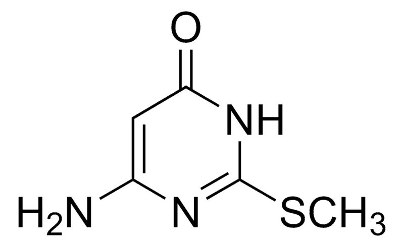 Sigma-Aldrich 6-Amino-2-(methylsulfanyl)-4(3H)-pyrimidinone,AldrichCPR