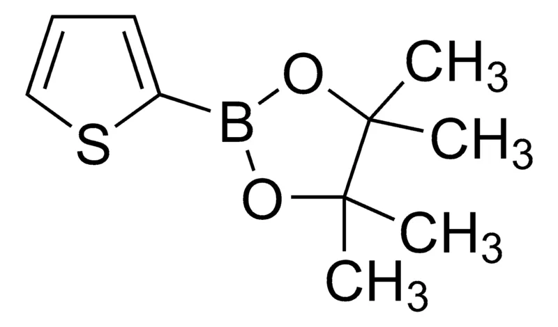 Sigma-Aldrich 2-(4,4,5,5-tetramethyl-1,3,2-dioxaborolan-2-yl)thiophene，AldrichCPR