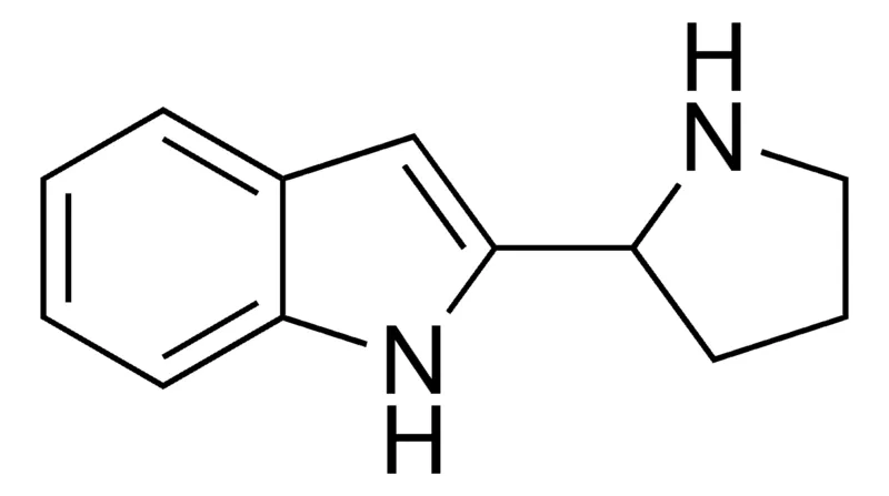 Sigma-Aldrich 2-Pyrrolidin-2-yl-1H-indole,AldrichCPR