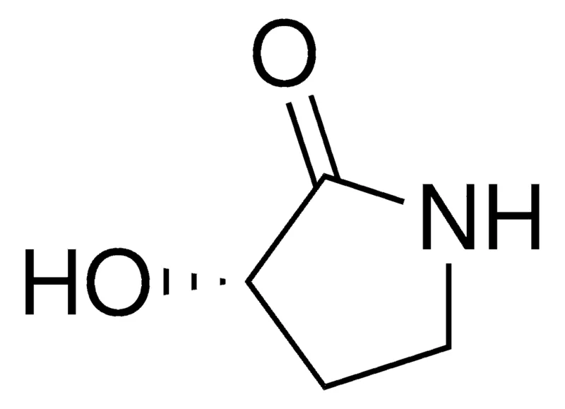 Sigma-Aldrich (S)-3-hydroxy-pyrrolidin-2-one,AldrichCPR