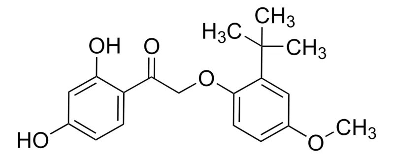 Sigma-Aldrich 2-(2-tert-Butyl-4-methoxyphenoxy)-1-(2,4-dihydroxyphenyl)ethanone,AldrichCPR