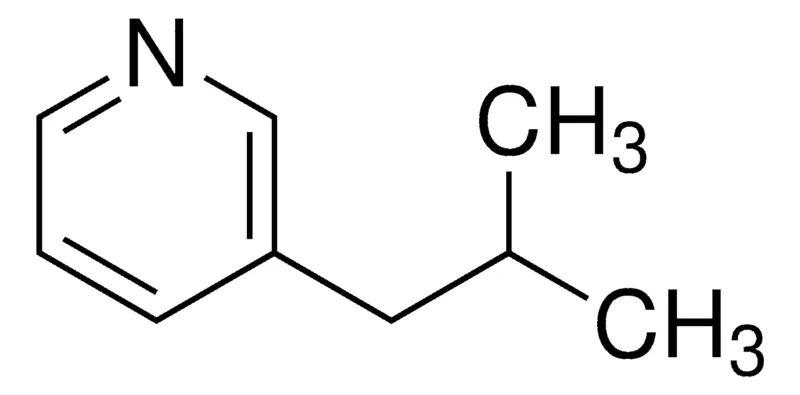 Sigma-Aldrich 3-Isobutylpyridine,AldrichCPR