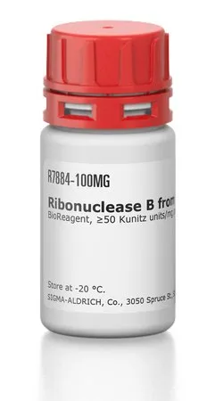 Sigma-Aldrich 核糖核酸酶B 来源于牛胰腺,生物试剂,≥50 Kunitz单位/mg蛋白质,≥80%(SDS-PAGE)