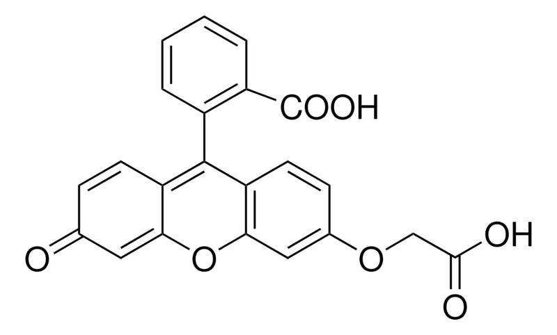 Sigma-Aldrich Fluorescein-O′-acetic acid，生物试剂，适用于荧光，≥90%（HPCE）