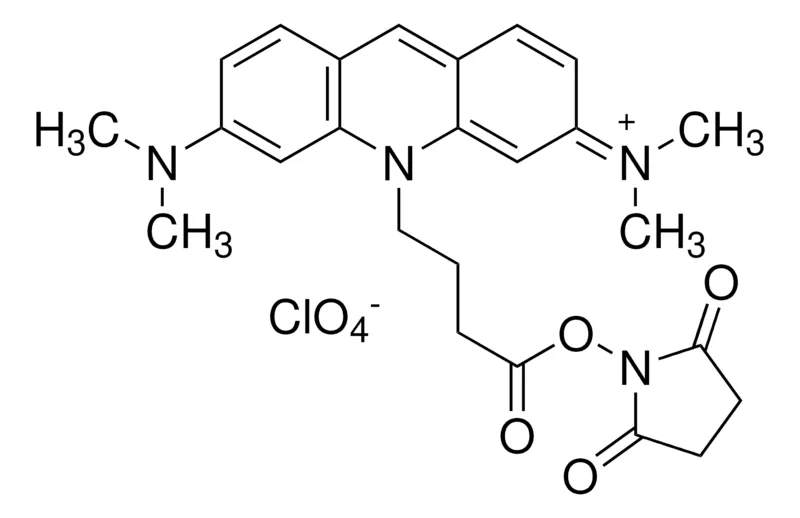 Sigma-Aldrich Atto 495 NHS ester,生物试剂,适用于荧光,≥90%(HPLC)