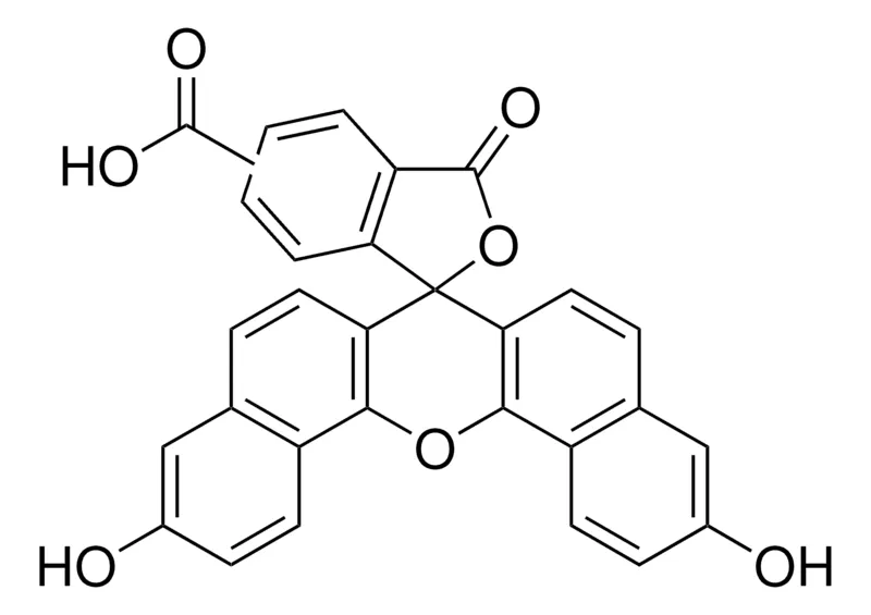 Sigma-Aldrich 5(6)-Carboxynaphthofluorescein,生物试剂,适用于荧光,≥90%(HPLC)