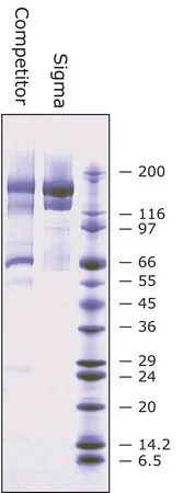 Sigma-Aldrich α2-巨球蛋白 来源于人类血浆，BioUltra，≥98%（SDS-PAGE）
