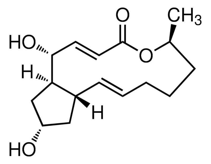 Sigma-Aldrich 布雷菲德菌素 A，≥99%（HPLC和TLC），BioXtra，分子生物学