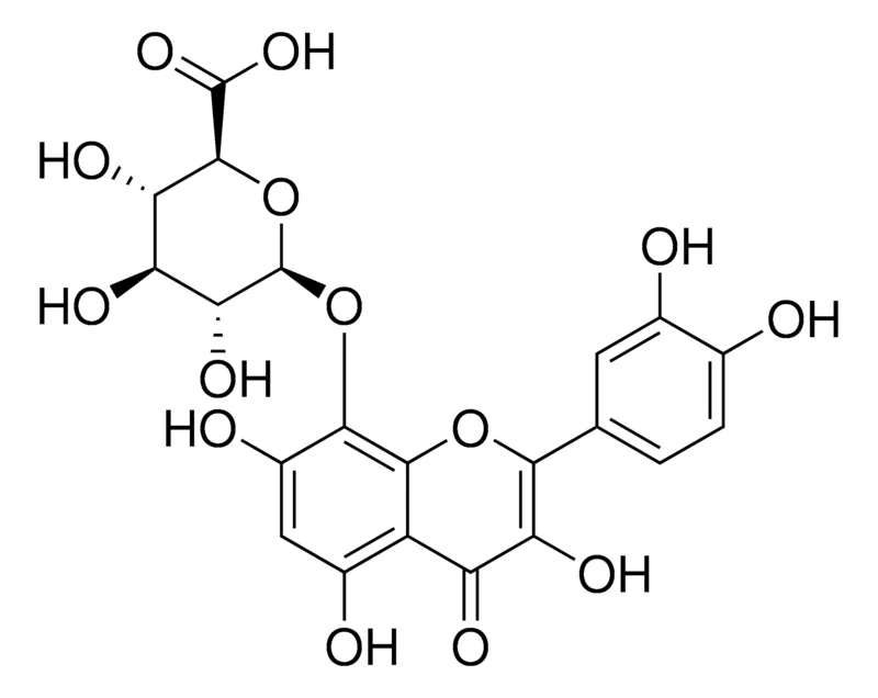 默克Supelco 棉皮素-8-O-β-D-葡萄糖醛酸苷,CRS,欧洲药典(EP)参比标准品