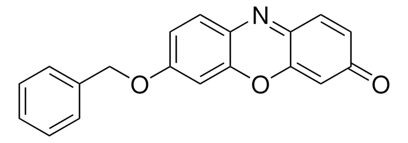 Sigma-Aldrich Resorufin benzyl ether，CYP 450底物，≥98%（TLC），粉末