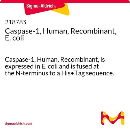 Sigma-Aldrich Caspase-1, Human, Recombinant, E. coli,重组人胱天蛋白酶-1在大肠杆菌中表达,并在N-末端与His·Tag序列融合。