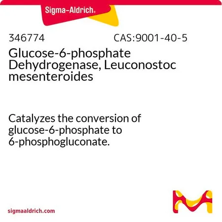 Sigma-Aldrich Glucose-6-phosphate Dehydrogenase, Leuconostoc mesenteroides，催化葡萄糖-6-磷酸转化为6-磷酸葡萄糖酸盐。