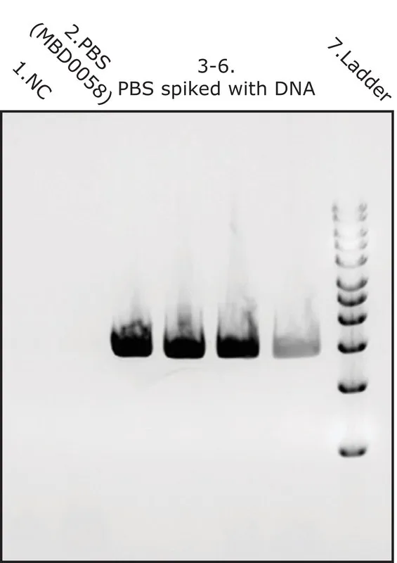 Sigma-Aldrich Phosphate Buffered Saline,1X溶液,液体,pH 7.5,不含微生物DNA