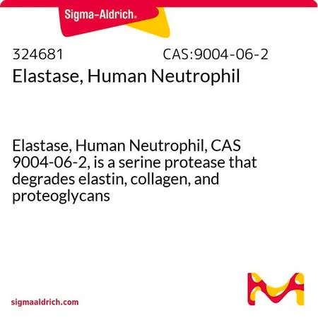 Sigma-Aldrich 人中性粒细胞弹性蛋白酶,弹性蛋白酶,人神经纤维,CAS 9004-06-2,是一种丝氨酸蛋白酶,可降解弹性蛋白、胶原和蛋白聚糖