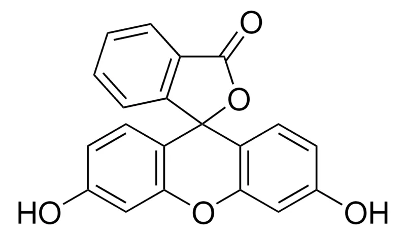 Sigma-Aldrich 荧光素，欧洲药典（EP）参考标准