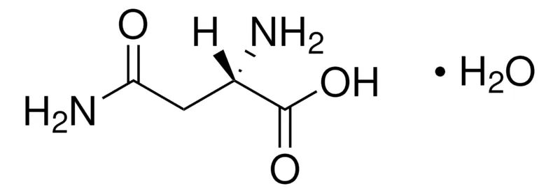 Sigma-Aldrich L-天冬酰胺 一水合物,欧洲药典(EP)参考标准