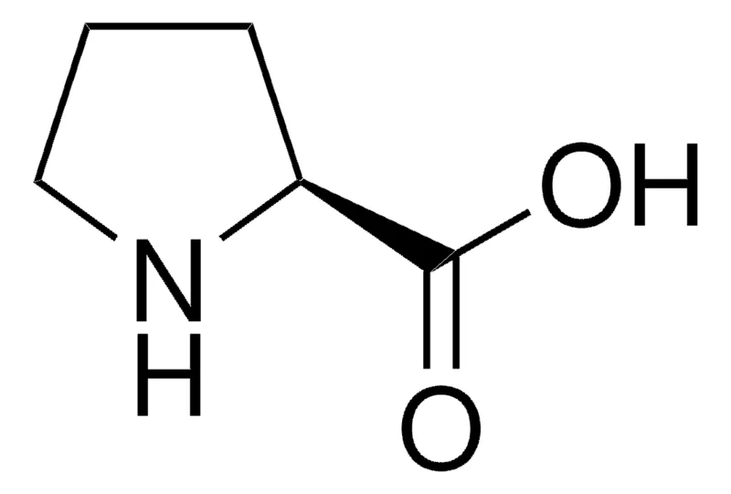 Sigma-Aldrich 脯氨酸,欧洲药典(EP)参考标准
