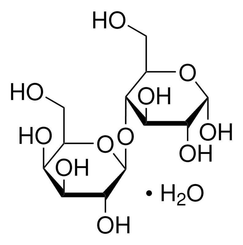 Sigma-Aldrich 乳糖，欧洲药典（EP）参考标准