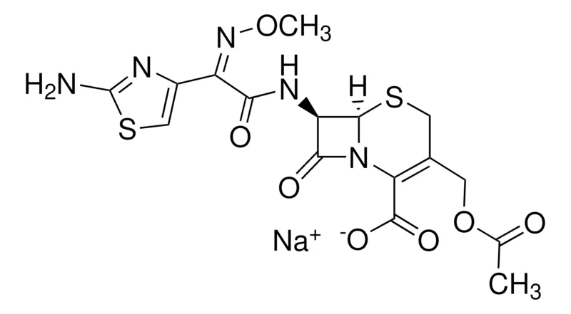 Sigma-Aldrich Cefotaxime sodium salt 钠盐，欧洲药典（EP）参考标准