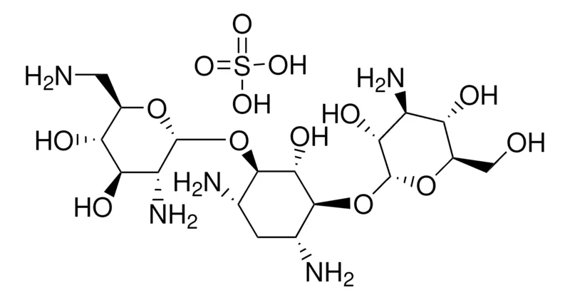 Sigma-Aldrich Kanamycin B sulfate salt,欧洲药典(EP)参考标准