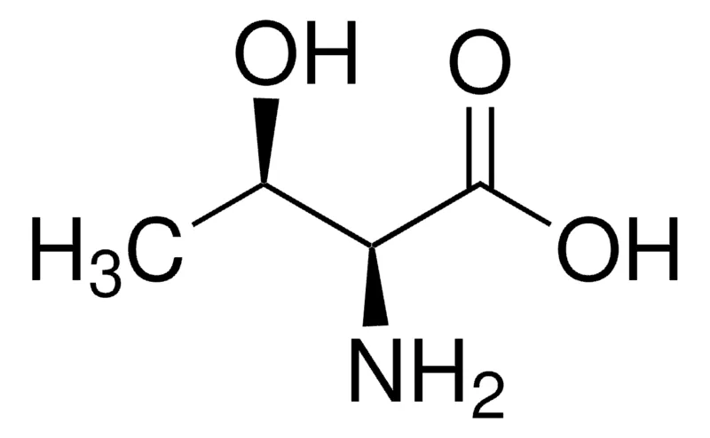 Sigma-Aldrich L-苏氨酸,欧洲药典(EP)参考标准