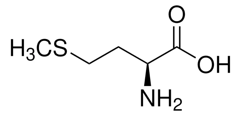Sigma-Aldrich 蛋氨酸,欧洲药典(EP)参考标准