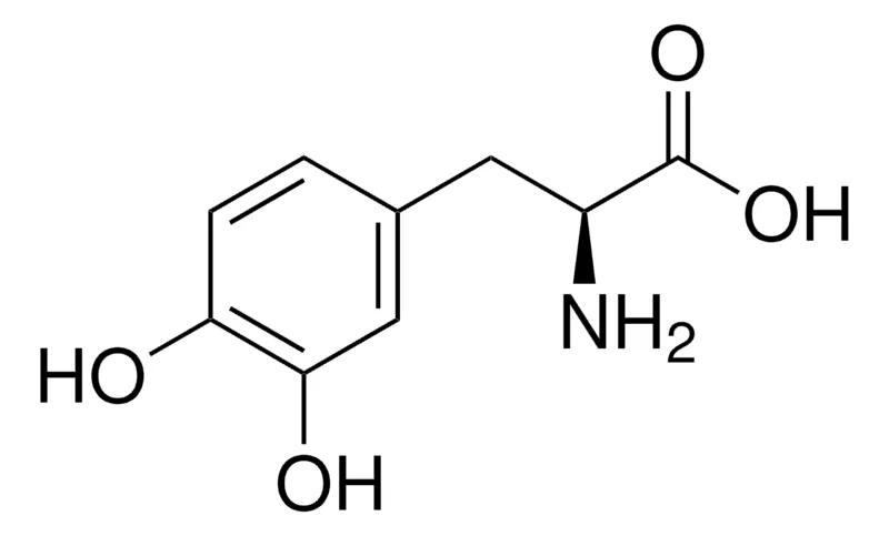 Sigma-Aldrich 左多巴,欧洲药典(EP)参考标准