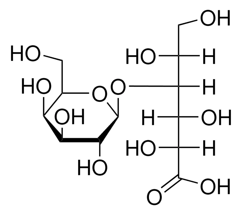 Sigma-Aldrich 乳糖酸,欧洲药典(EP)参考标准