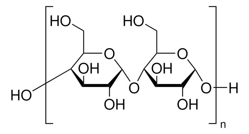 Sigma-Aldrich 淀粉,BRP,欧洲药典(EP)参考标准