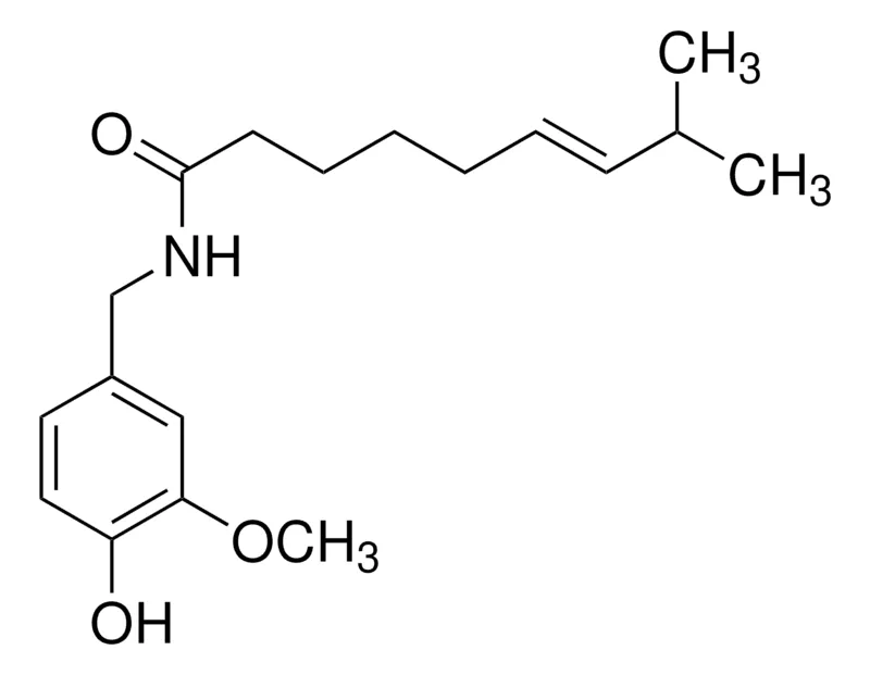 Sigma-Aldrich 辣椒素,欧洲药典(EP)参考标准