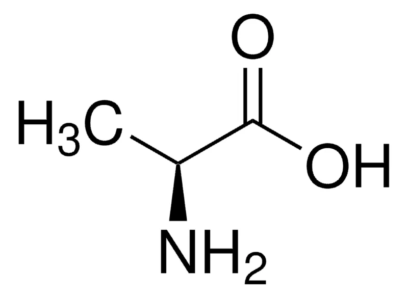 Sigma-Aldrich 丙氨酸,欧洲药典(EP)参考标准
