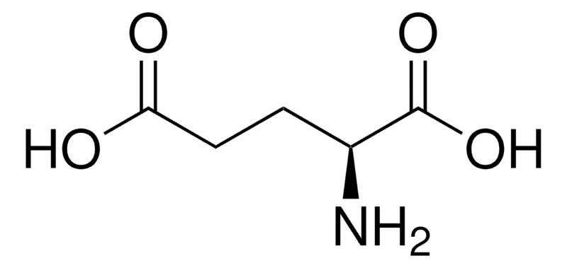 Sigma-Aldrich 谷氨酸，欧洲药典（EP）参考标准