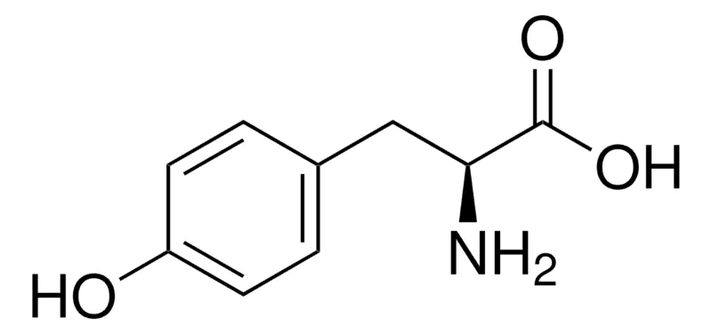 Sigma-Aldrich 酪氨酸,欧洲药典(EP)参考标准