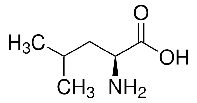 Sigma-Aldrich 亮氨酸,欧洲药典(EP)参考标准