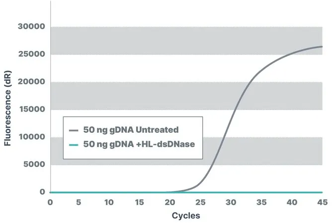 Sigma-Aldrich dsDNase,对于gDNA去除,重组,在巴斯德毕赤酵母中表达,热不稳定,无Triton