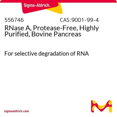 Sigma-Aldrich RNase A,无蛋白酶,高度纯化,牛胰腺,用于选择性降解RNA