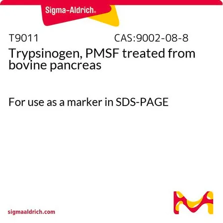 Sigma-Aldrich Trypsinogen, PMSF treated from bovine pancreas,用作SDS-PAGE中的标记